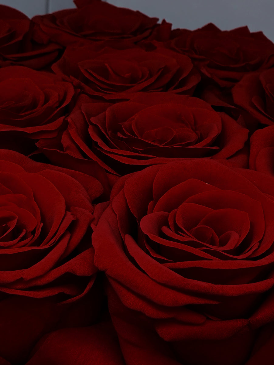 Forever Roses – Square Gift Box